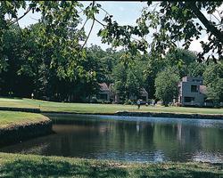 Resort Image