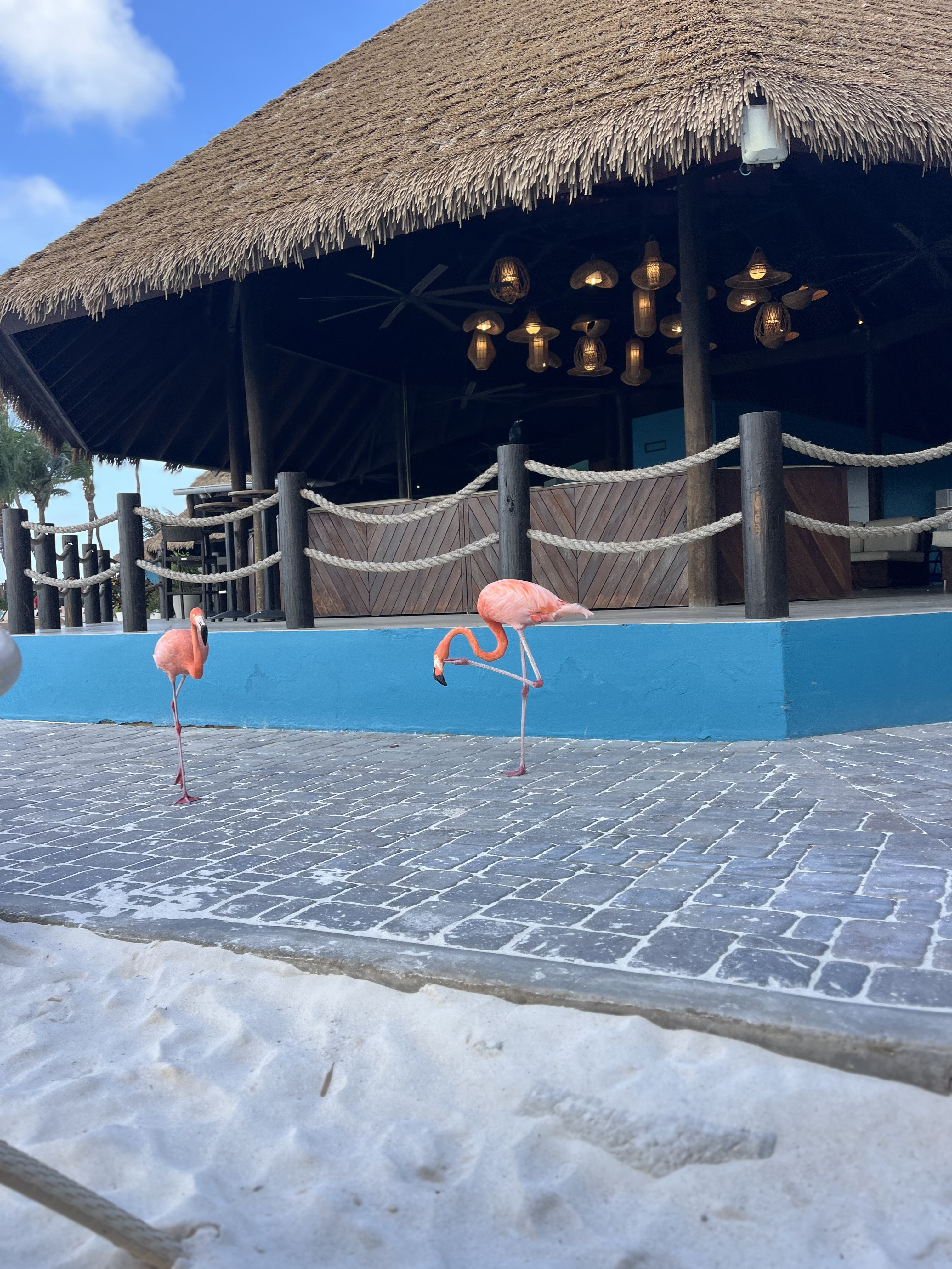 Loading Resort Image...