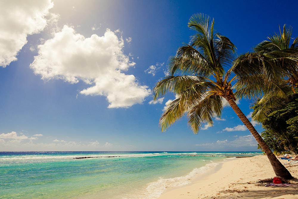 Loading Resort Image...