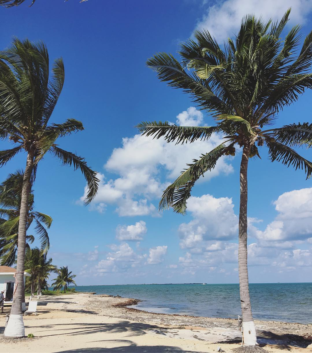 Loading Resort Image...