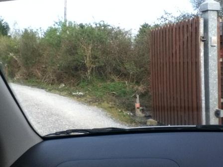 Loading Resort Image...