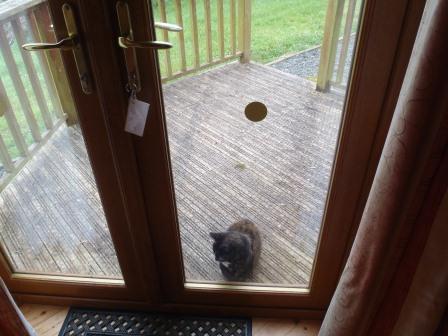 Loading Resort Image...