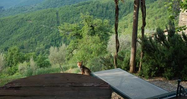 Loading Resort Image...