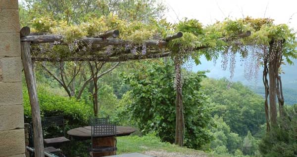 Loading Resort Image...