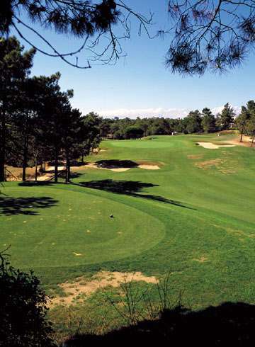 Loading Resort Image...