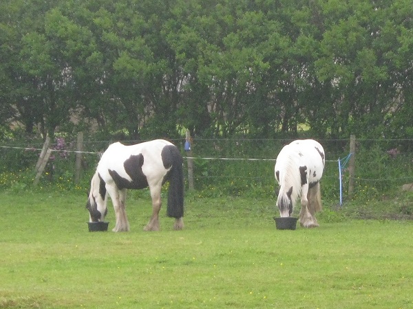 Loading Resort Image...