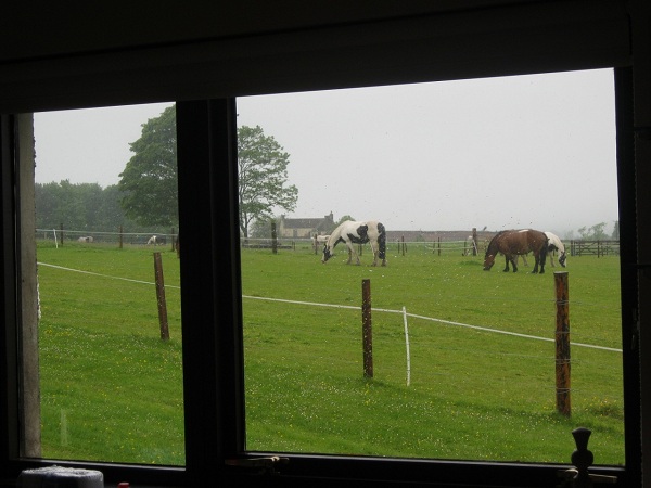 Loading Resort Image...