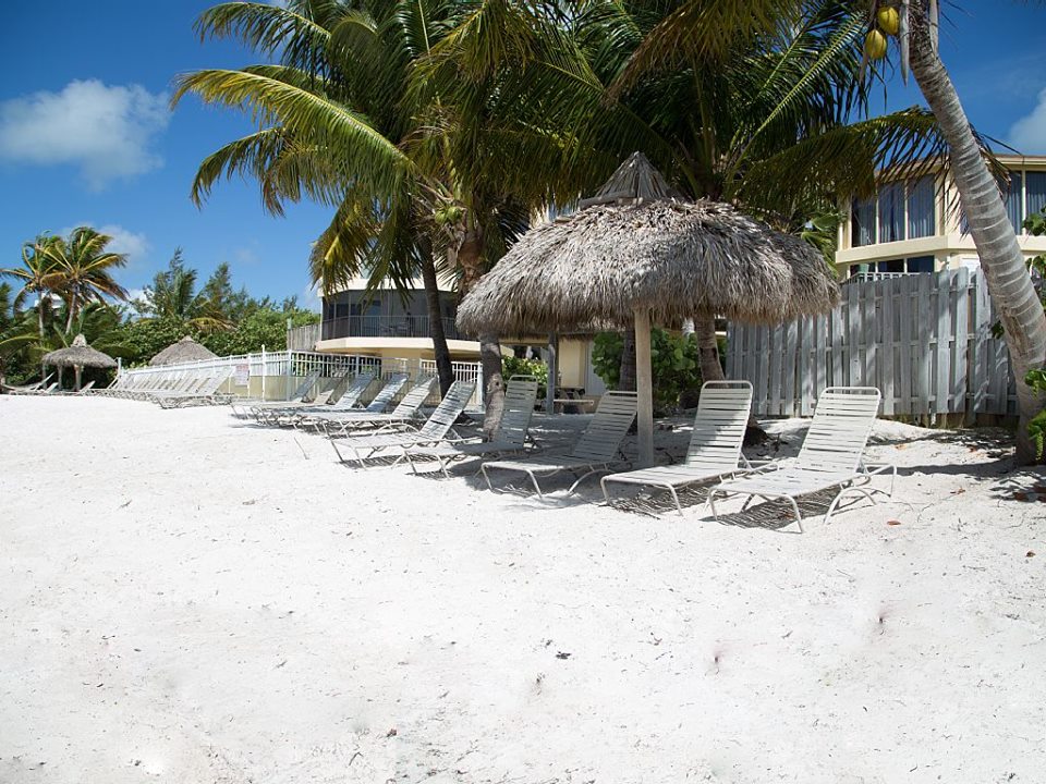 Loading Resort Image...