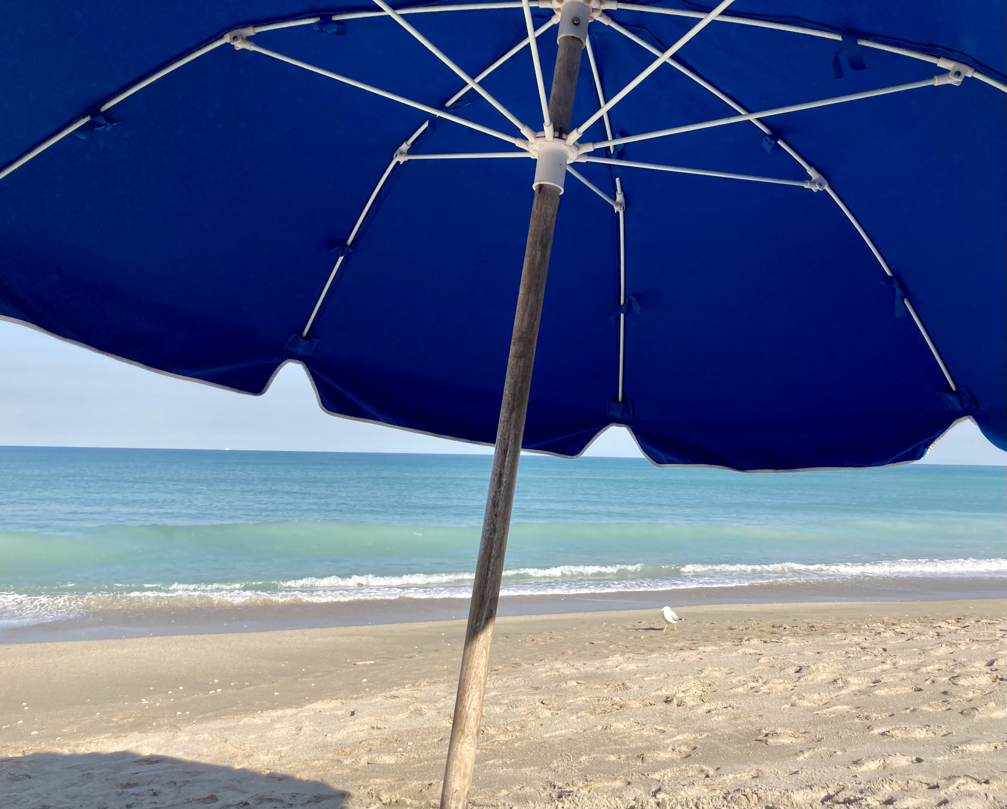 Loading Resort Image...