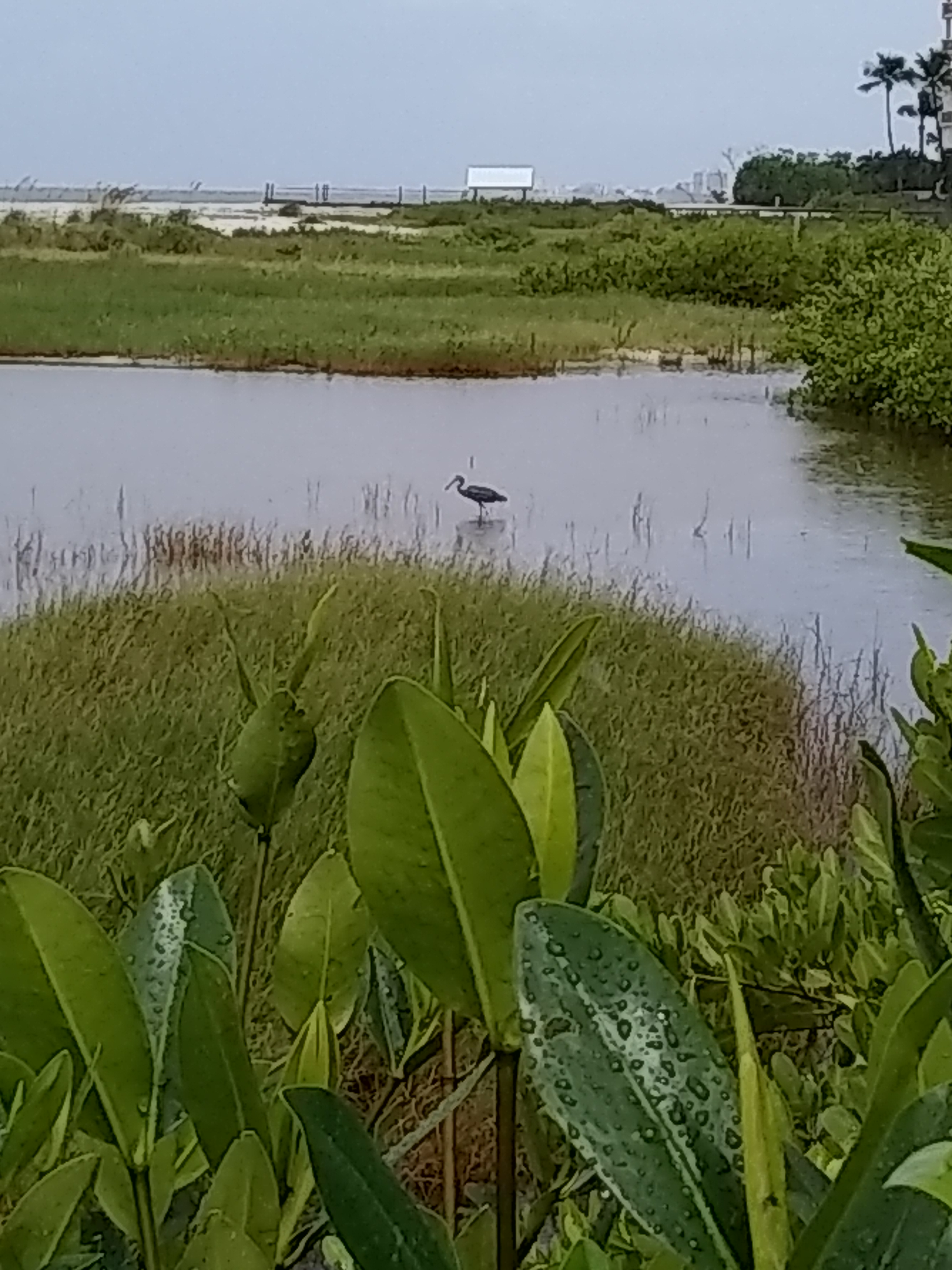 Loading Resort Image...