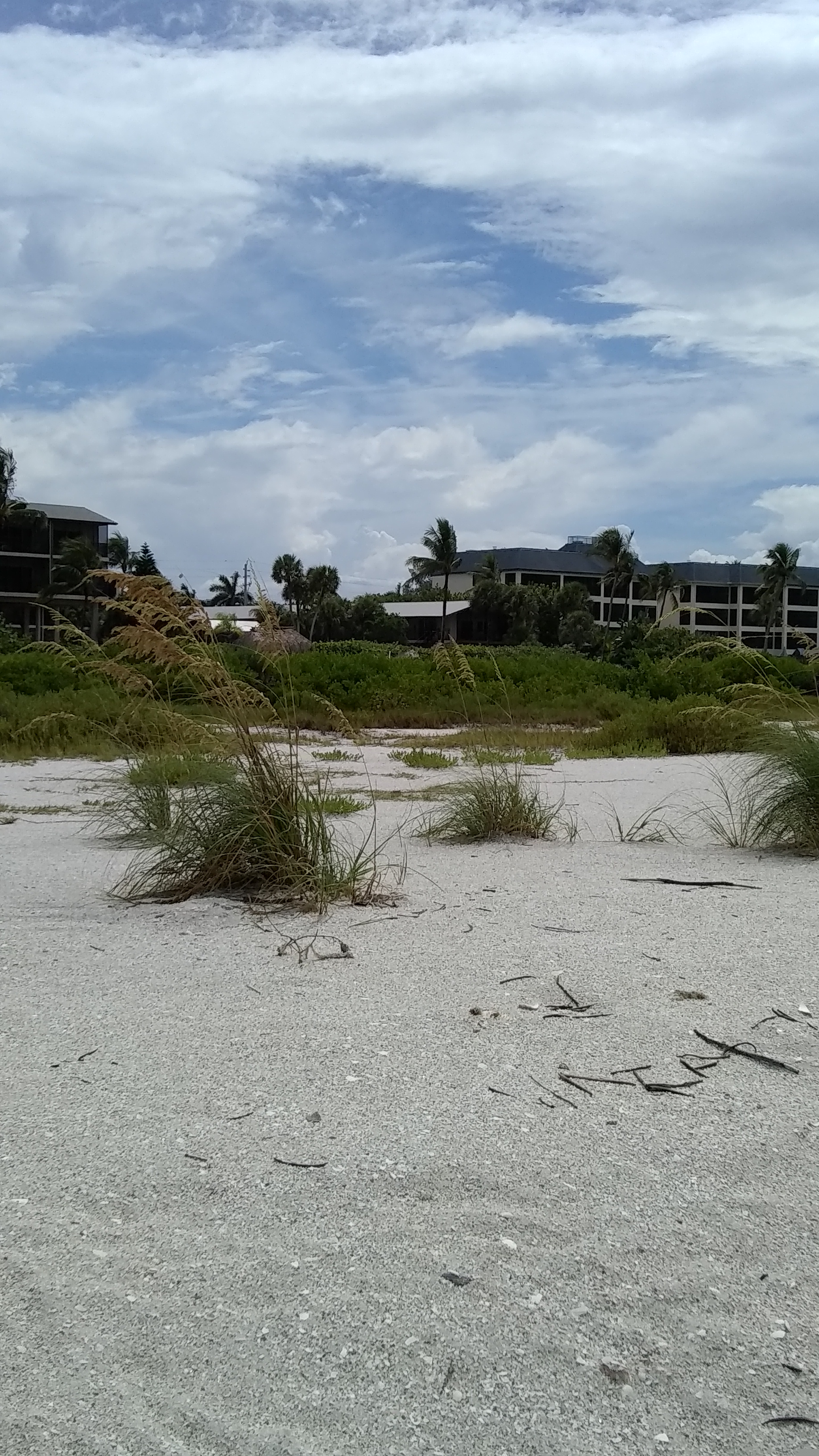 Loading Resort Image...