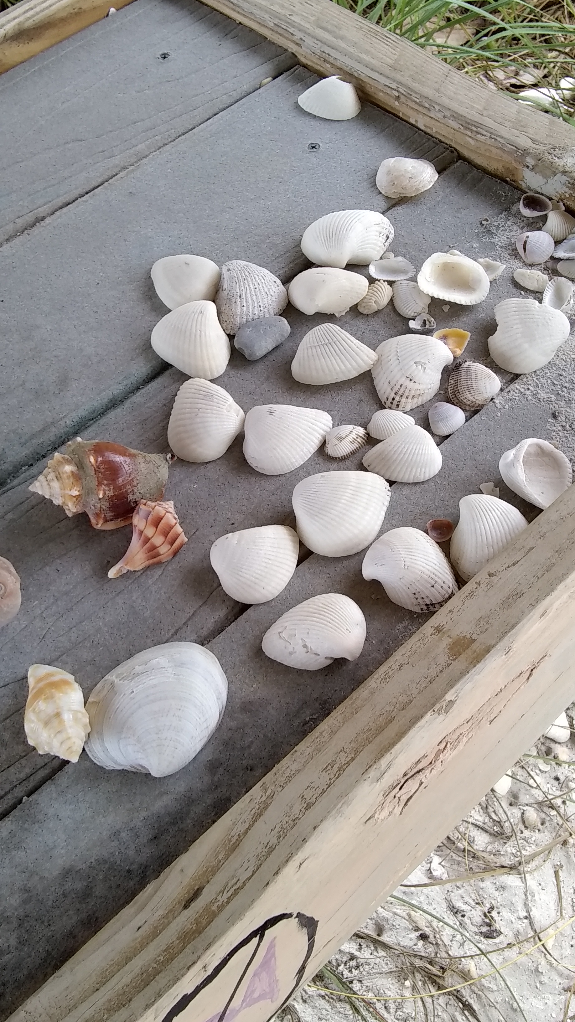 Loading Resort Image...