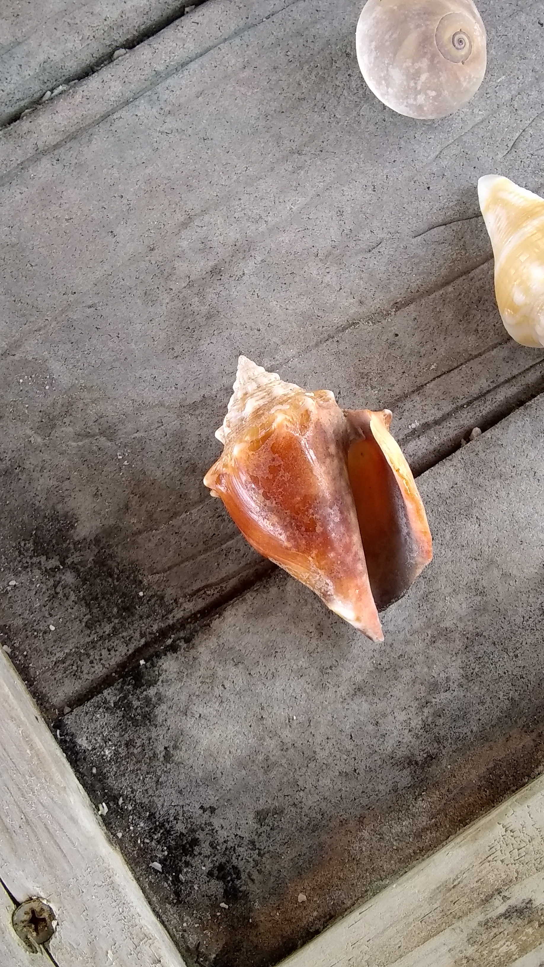 Loading Resort Image...