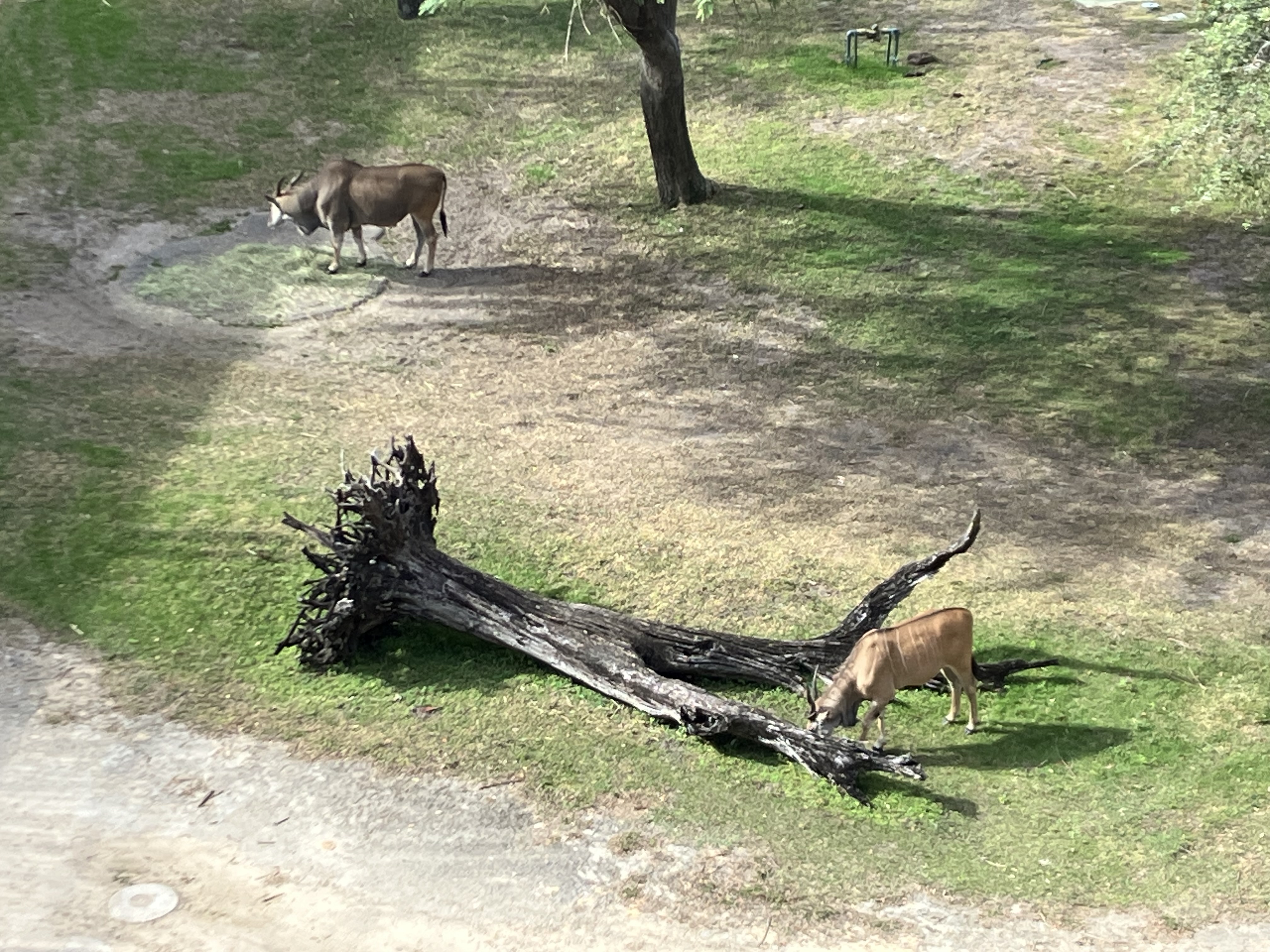 Loading Resort Image...