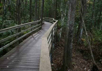 Loading Resort Image...