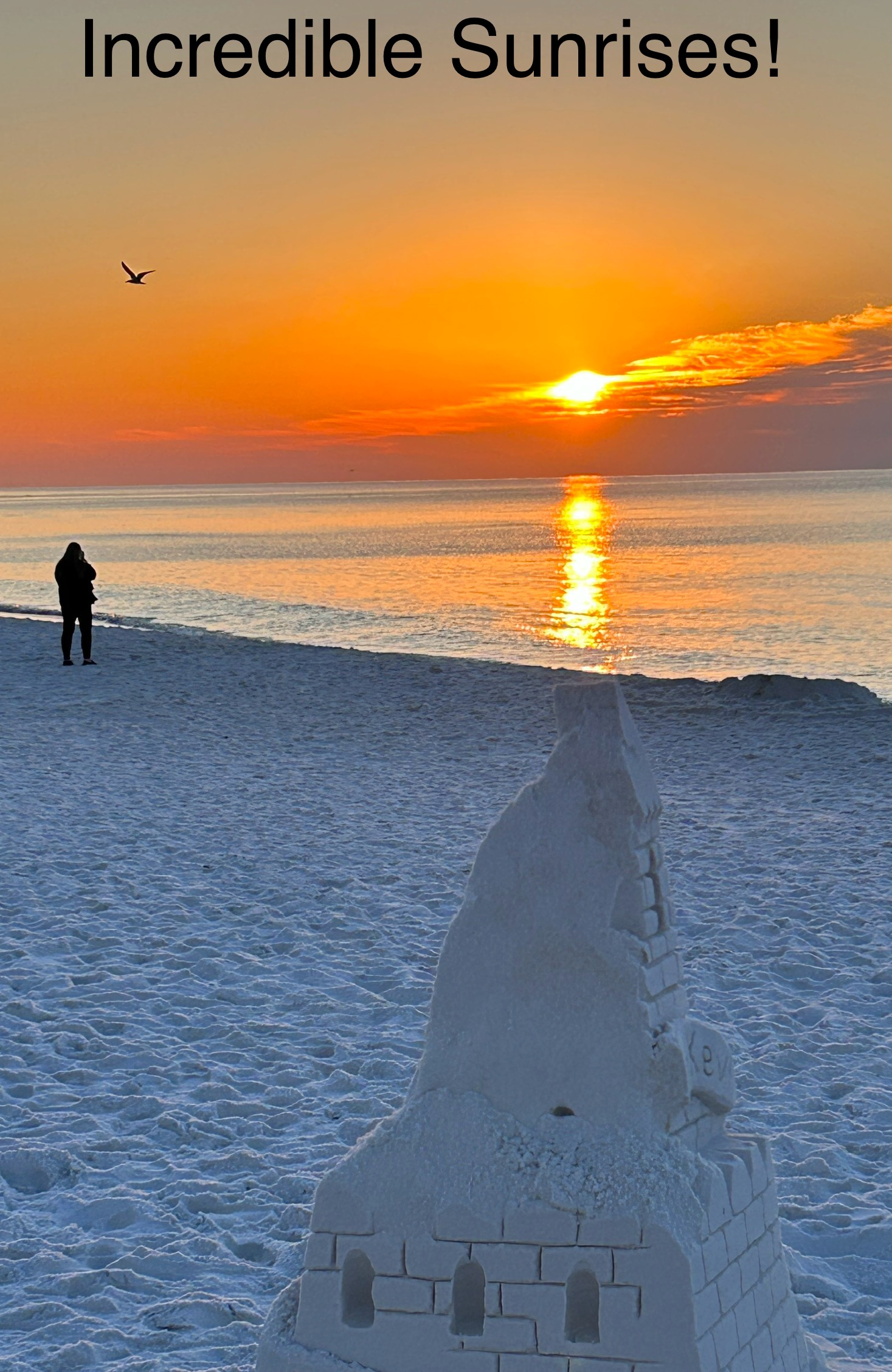 Loading Resort Image...