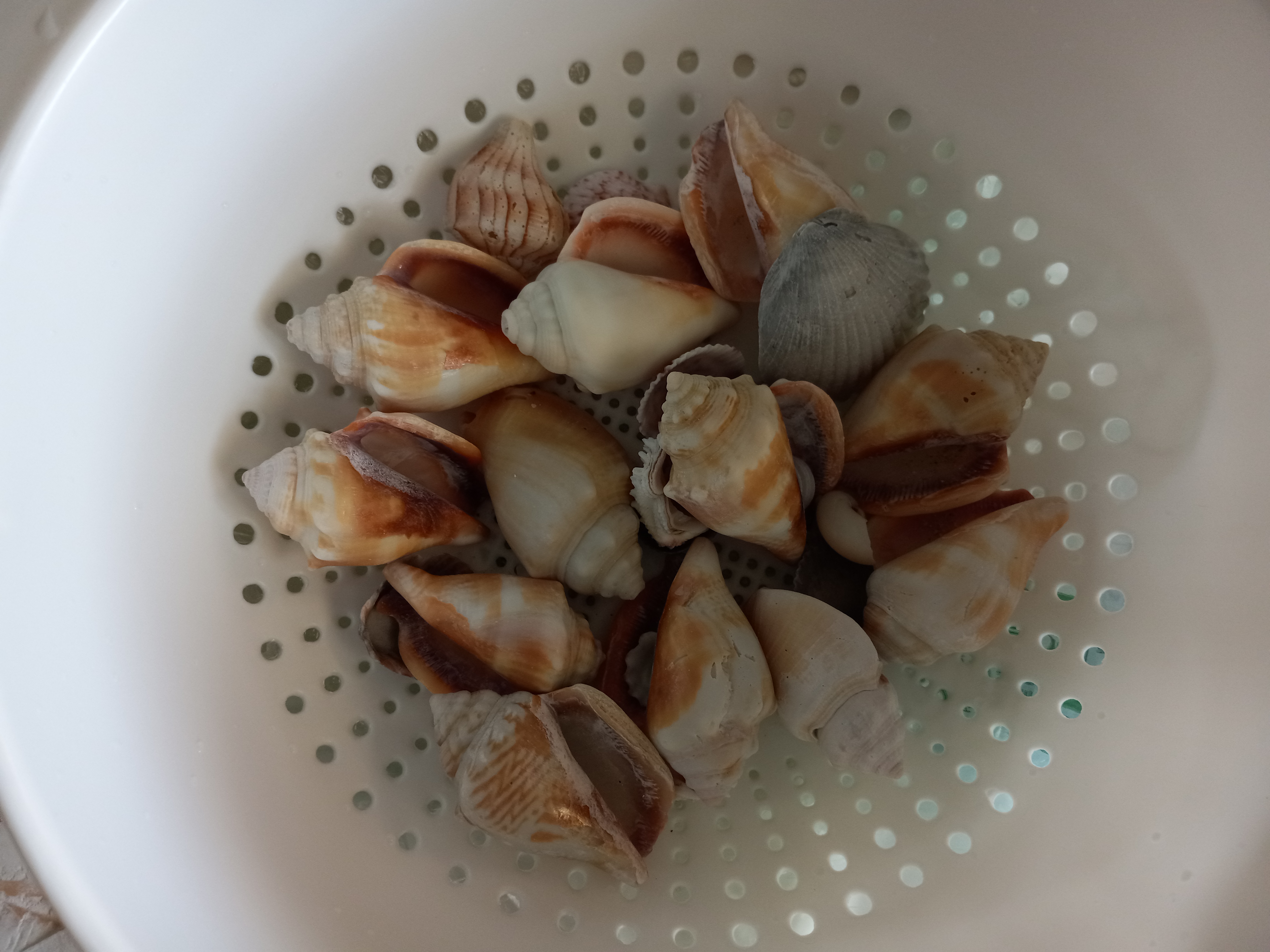 Loading Resort Image...