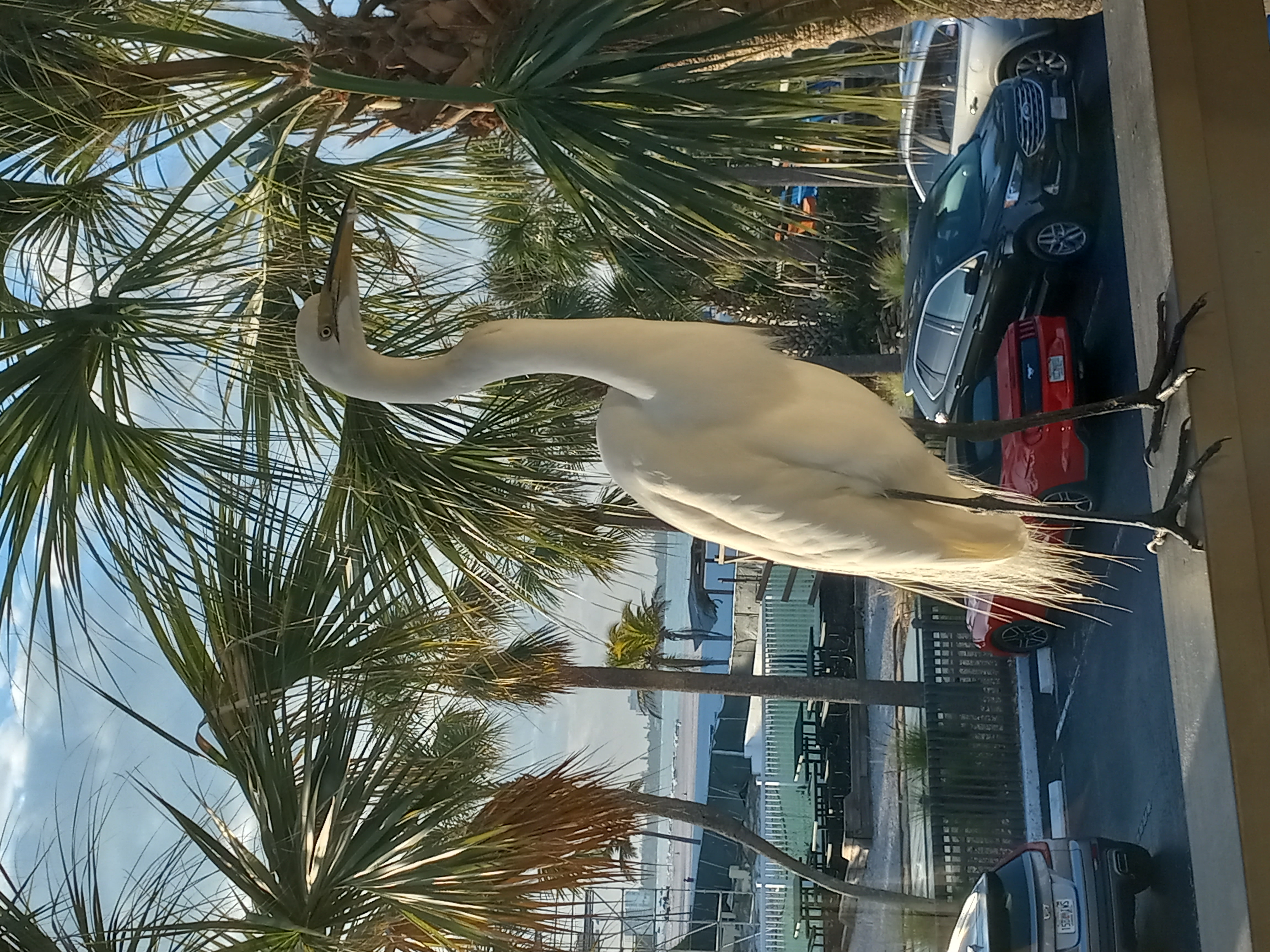 Loading Resort Image...