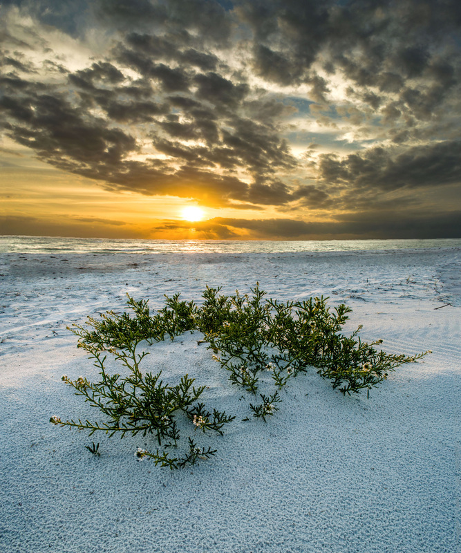 Loading Resort Image...