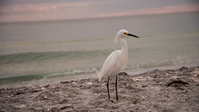 Loading Resort Image...