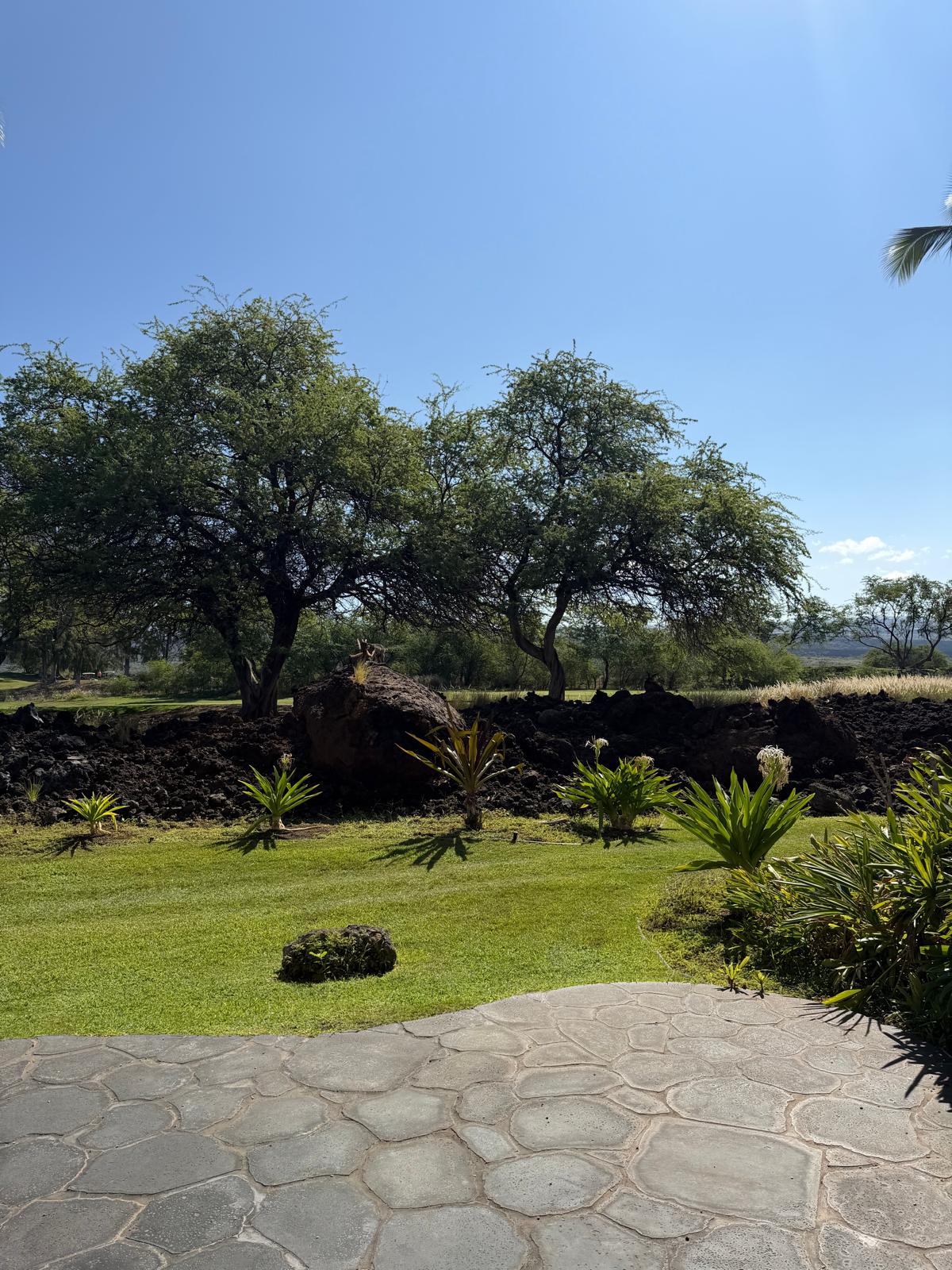 Loading Resort Image...