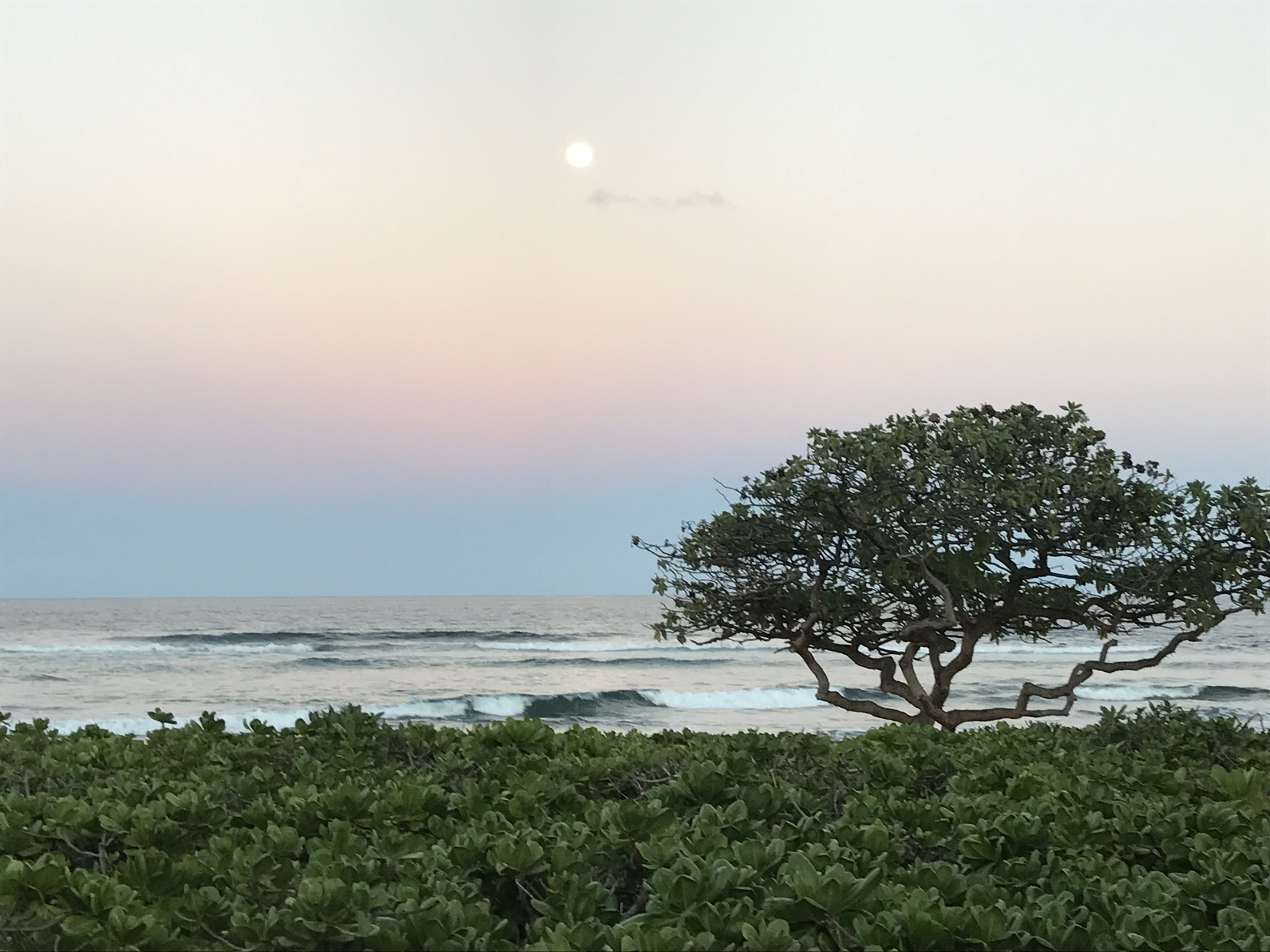 Loading Resort Image...