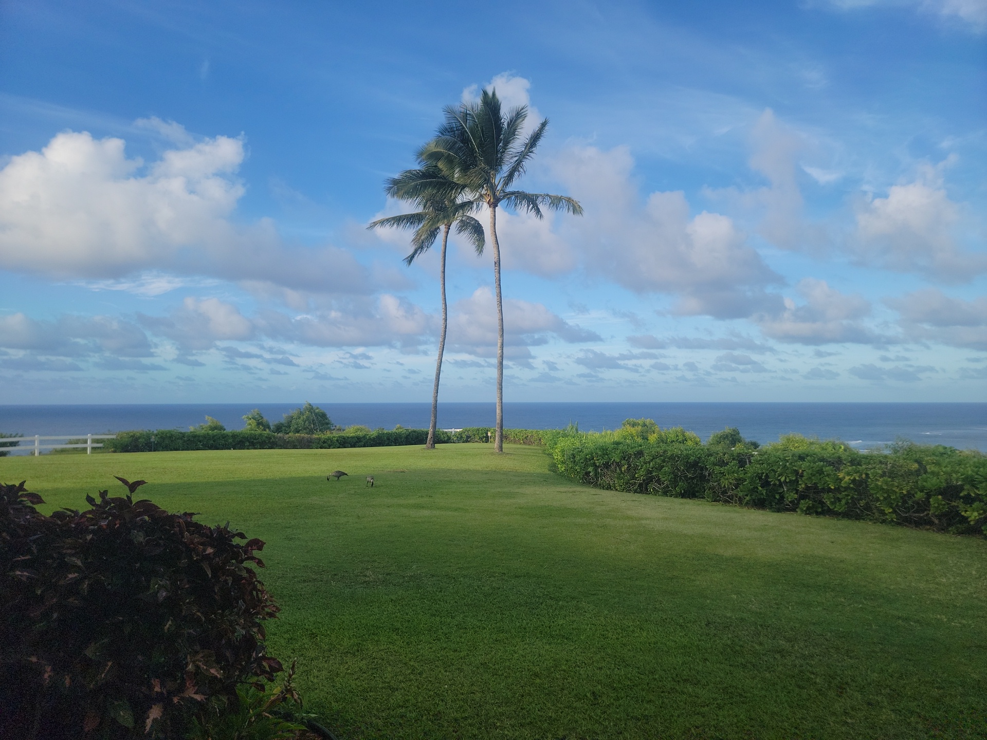 Loading Resort Image...