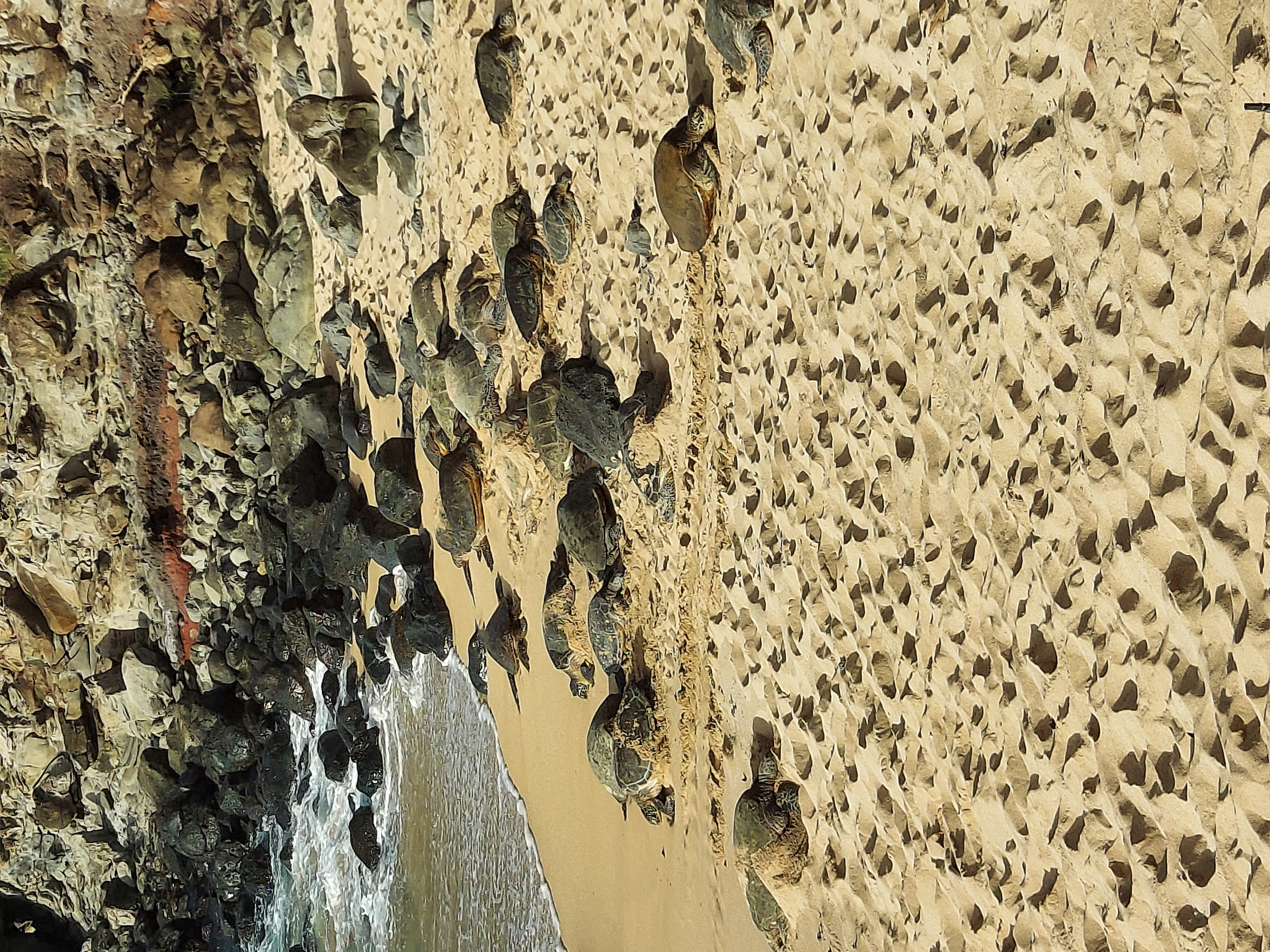 Loading Resort Image...