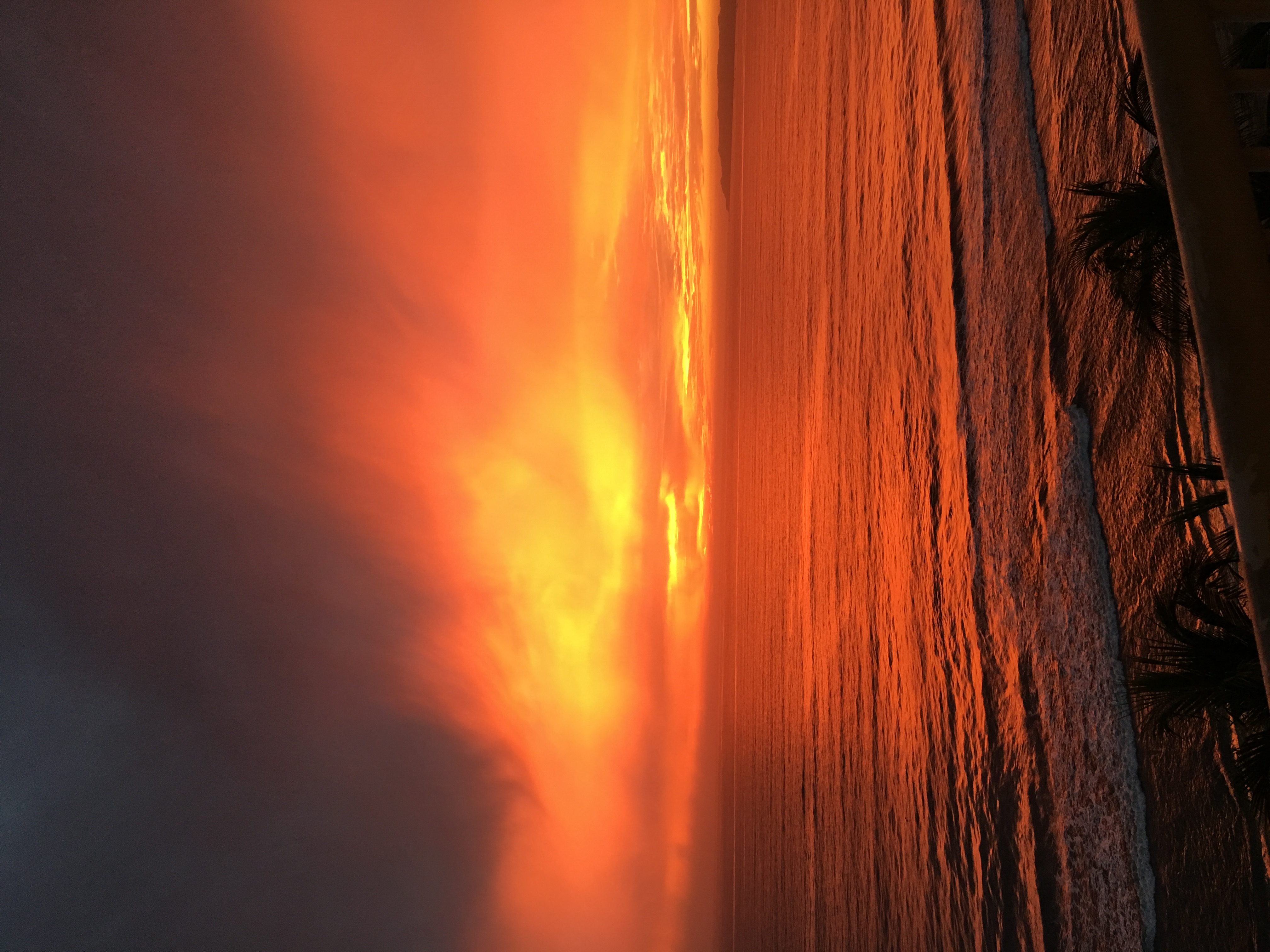 Loading Resort Image...