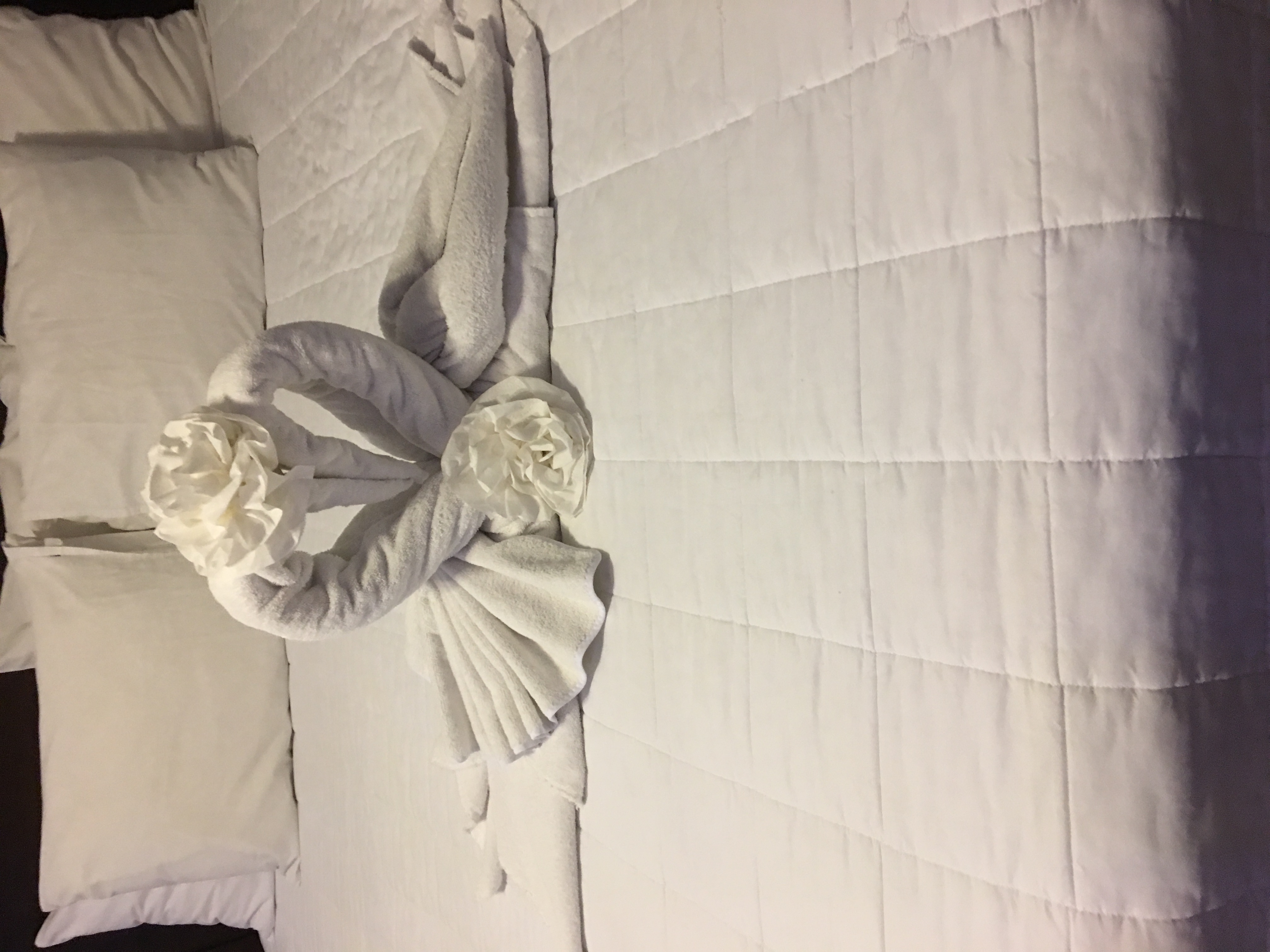 Loading Resort Image...