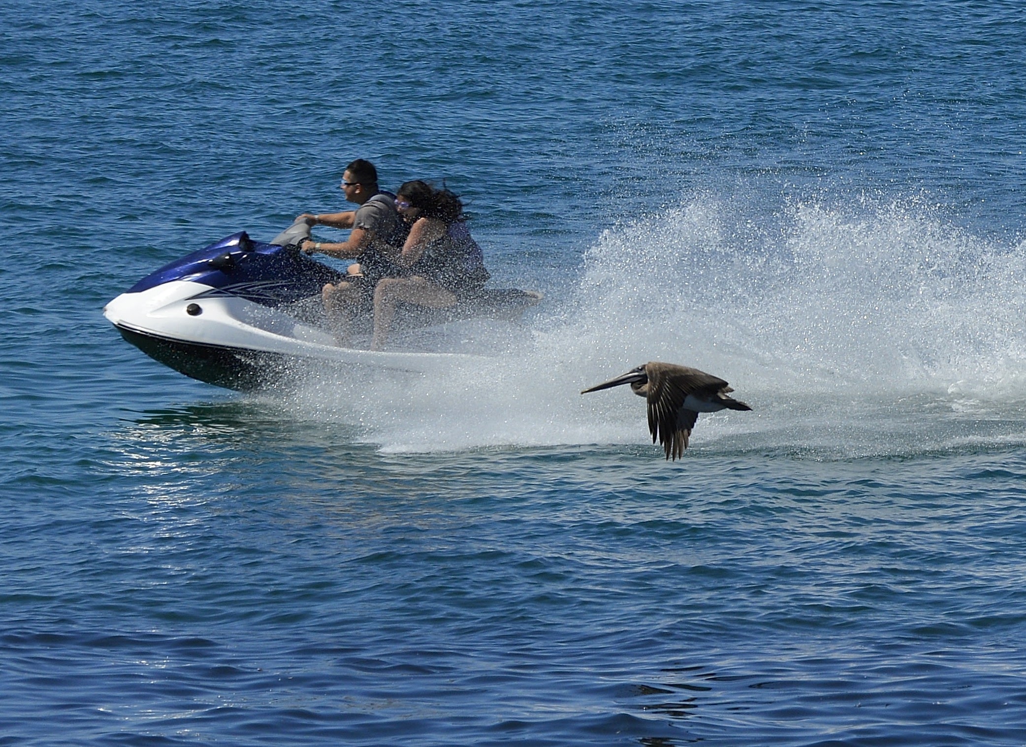 Loading Resort Image...