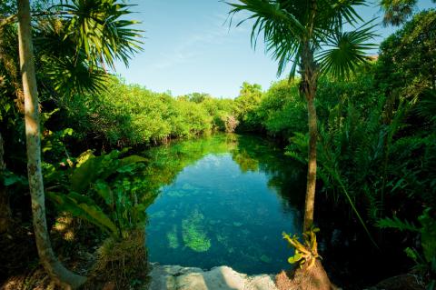 Loading Resort Image...