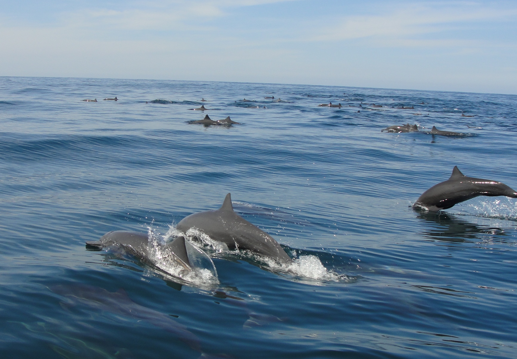 Loading Resort Image...