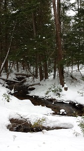 Loading Resort Image...