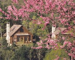 Loading Resort Image...