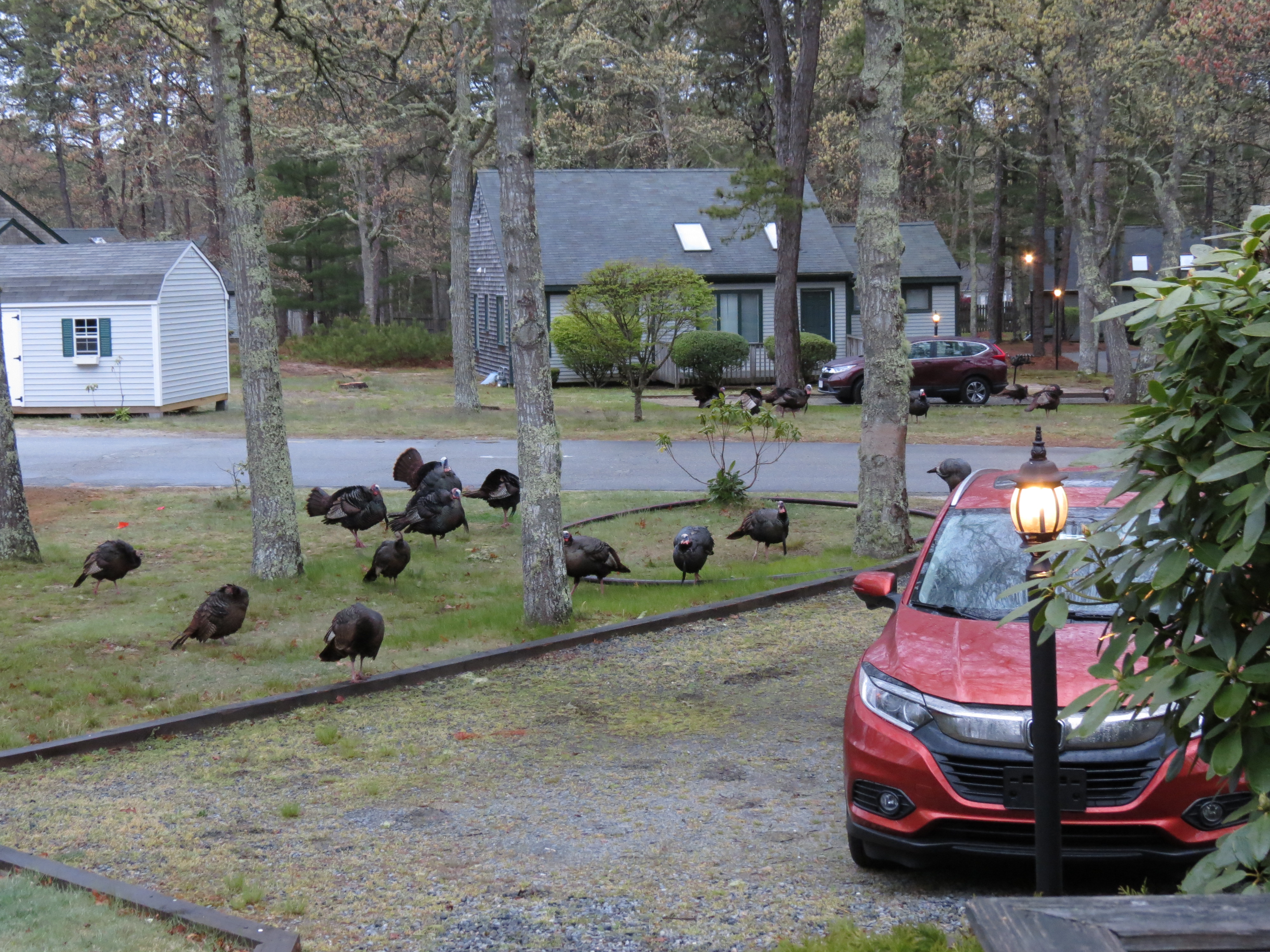 Loading Resort Image...