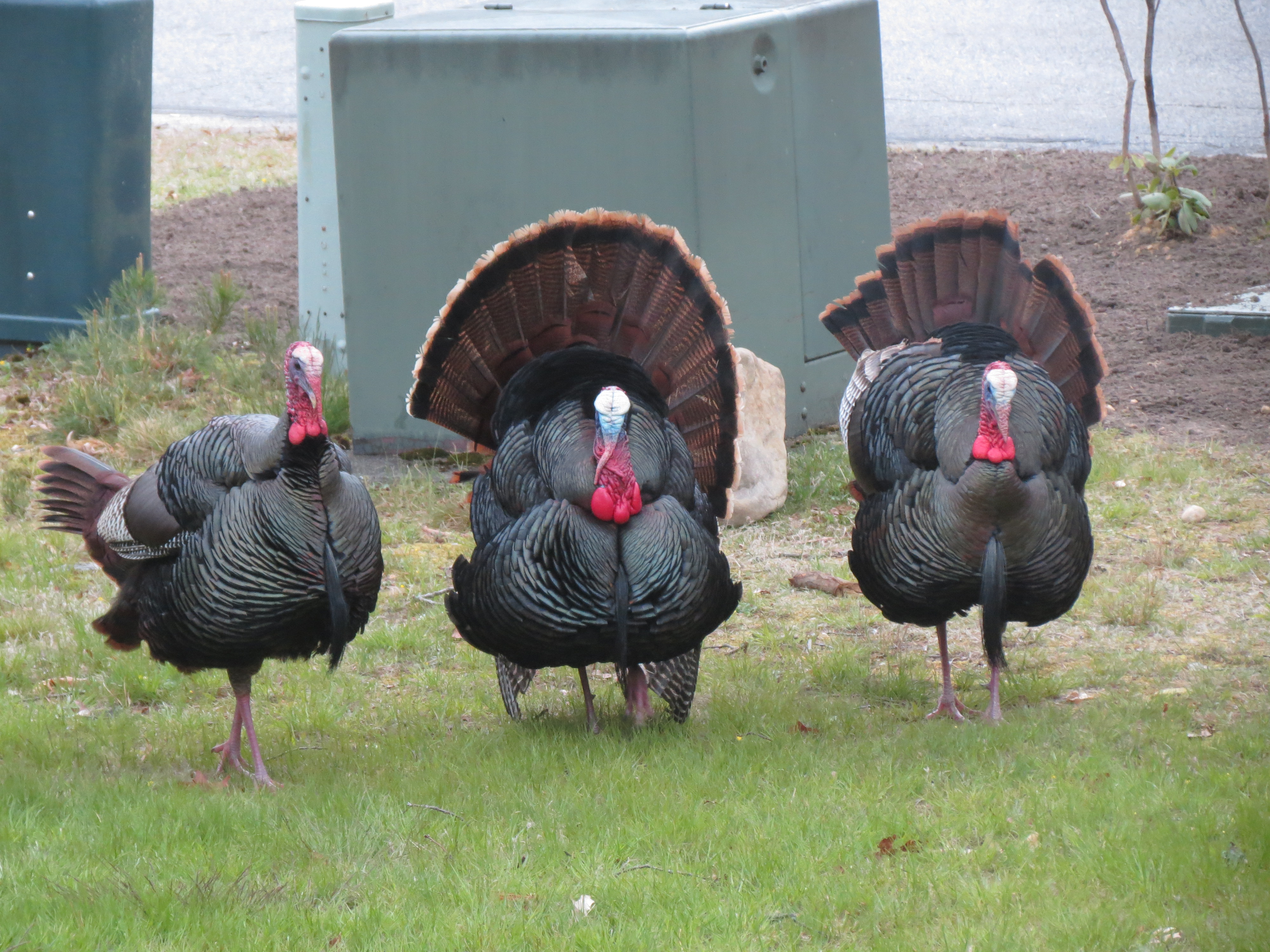 Loading Resort Image...