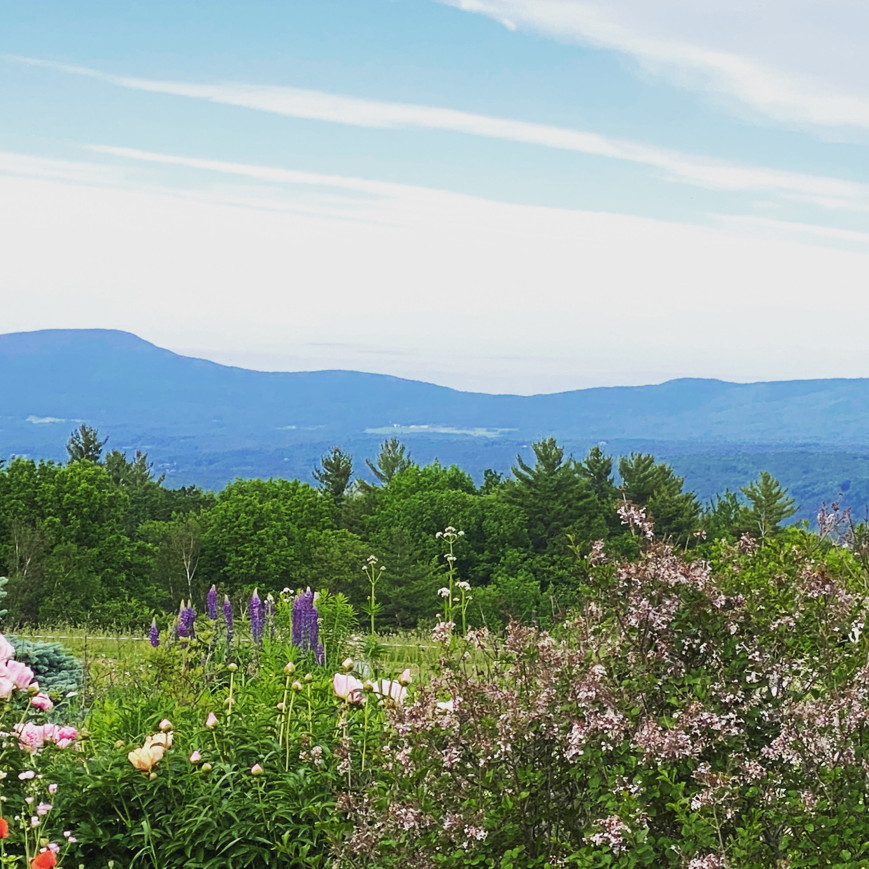 Loading Resort Image...