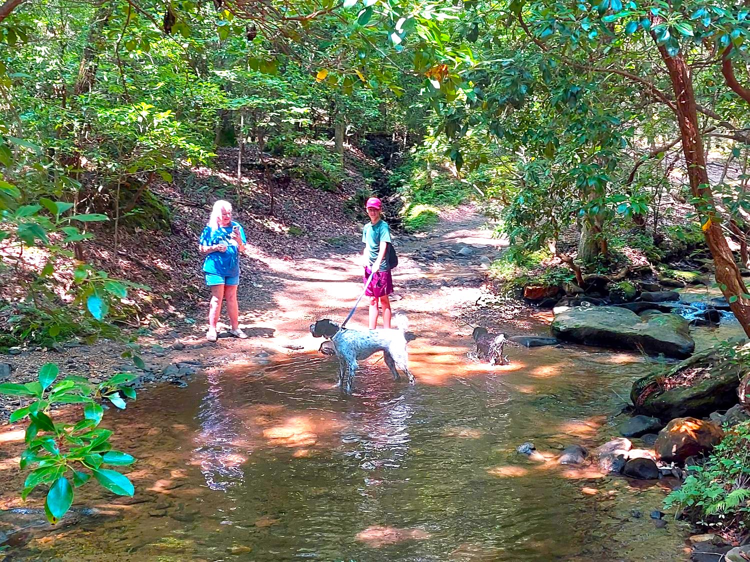 Loading Resort Image...