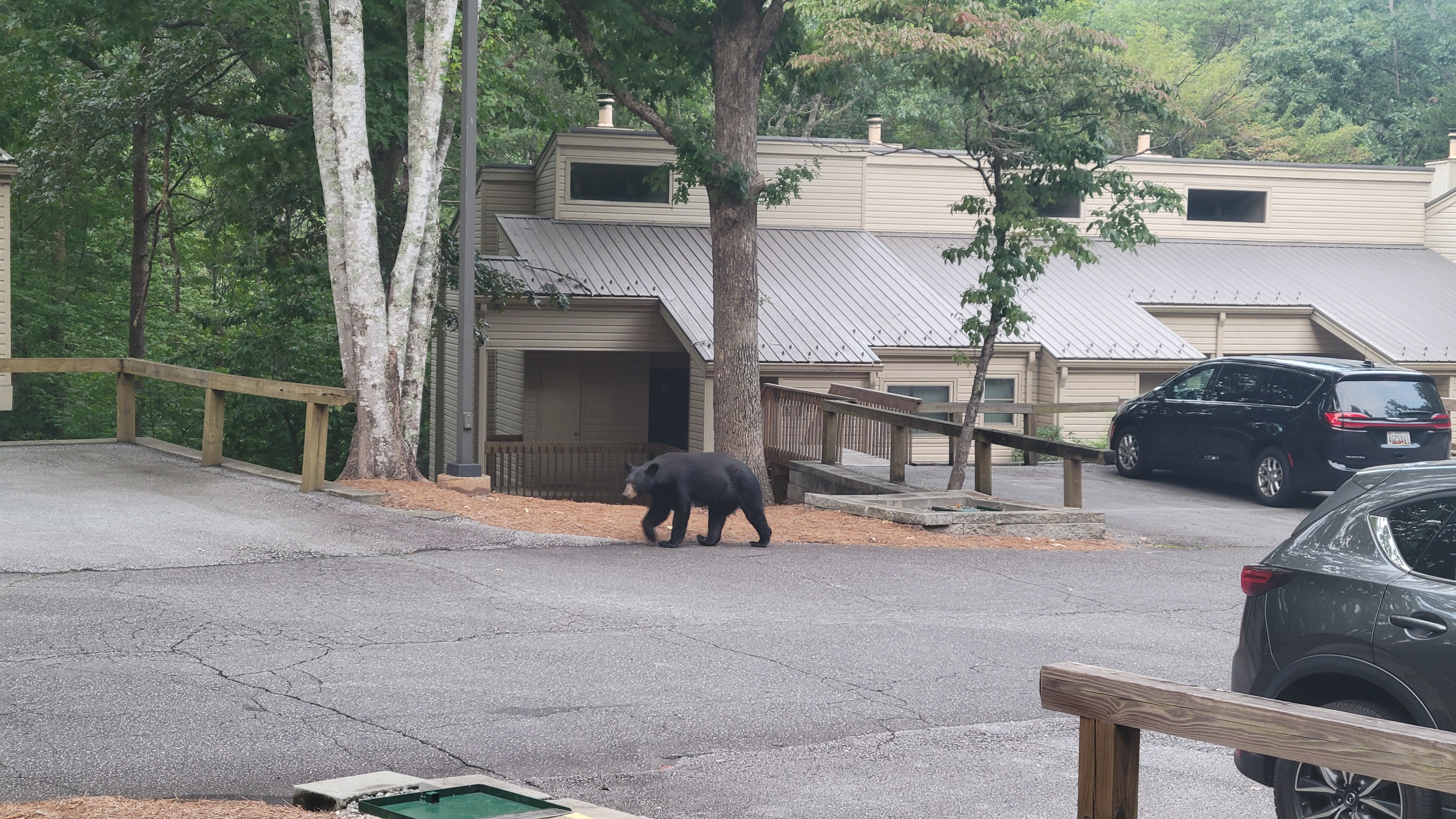 Loading Resort Image...