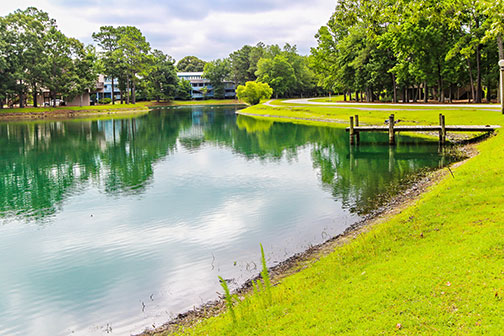 Loading Resort Image...