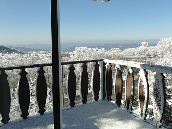 Loading Resort Image...