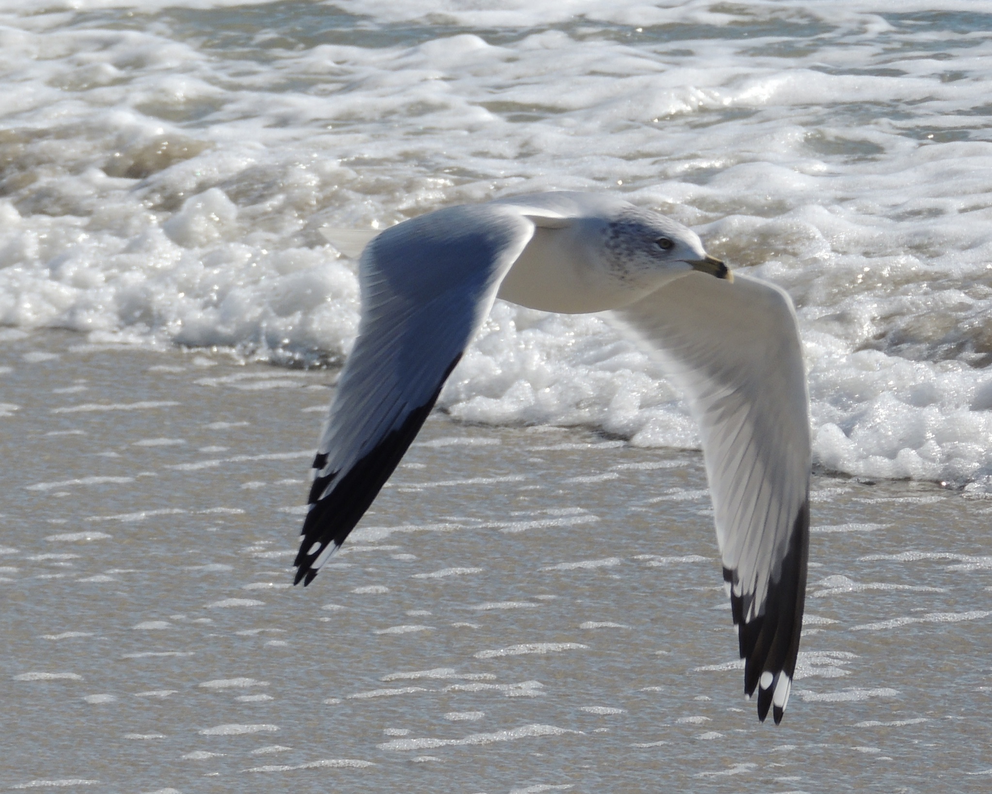 Loading Resort Image...