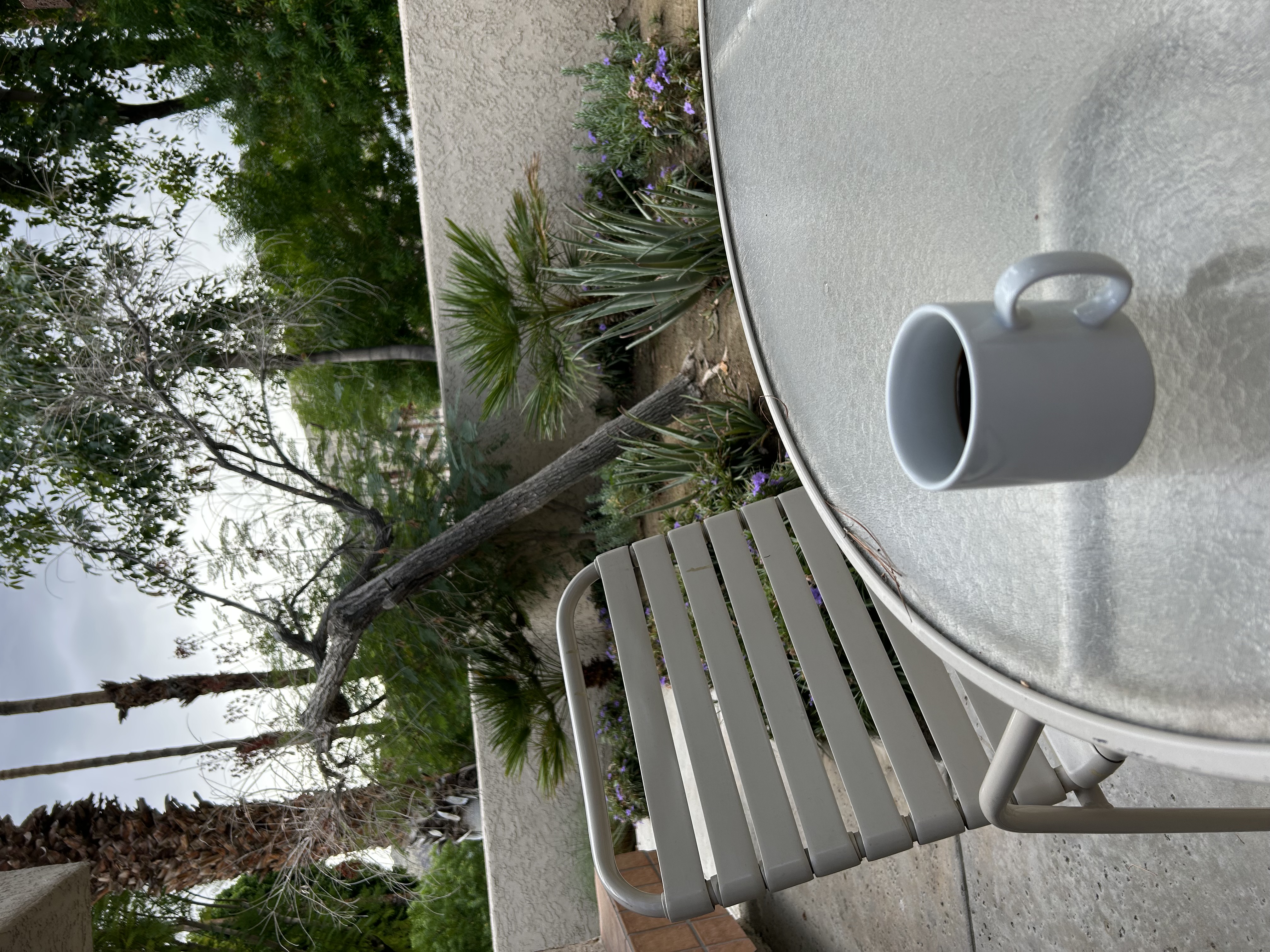 Loading Resort Image...