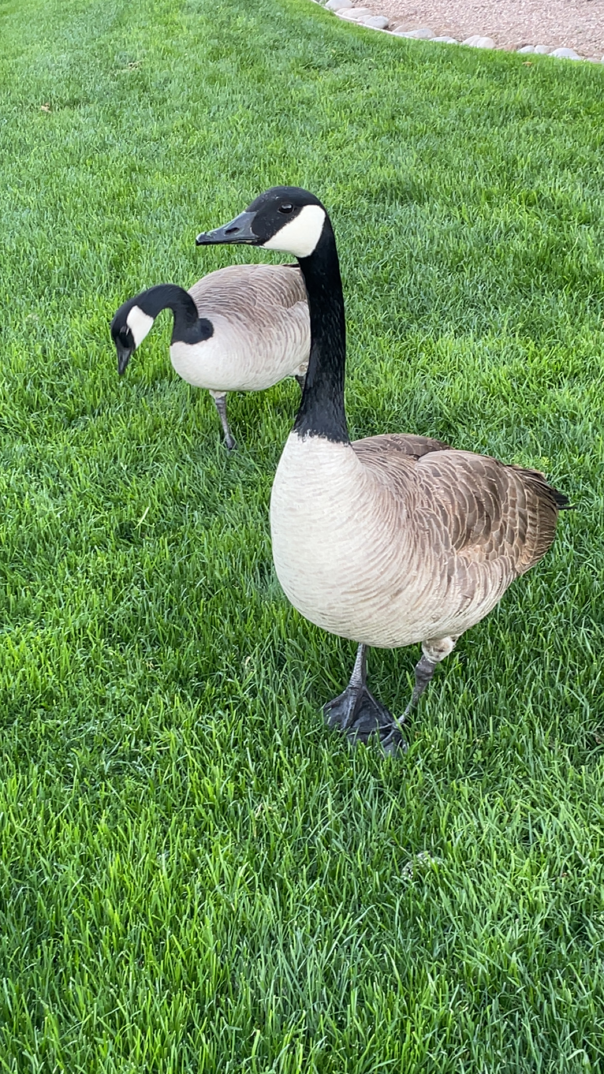 Loading Resort Image...