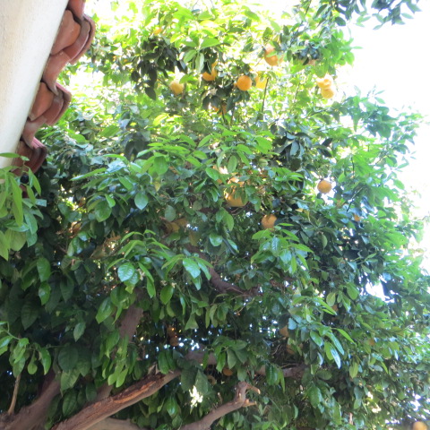 Loading Resort Image...