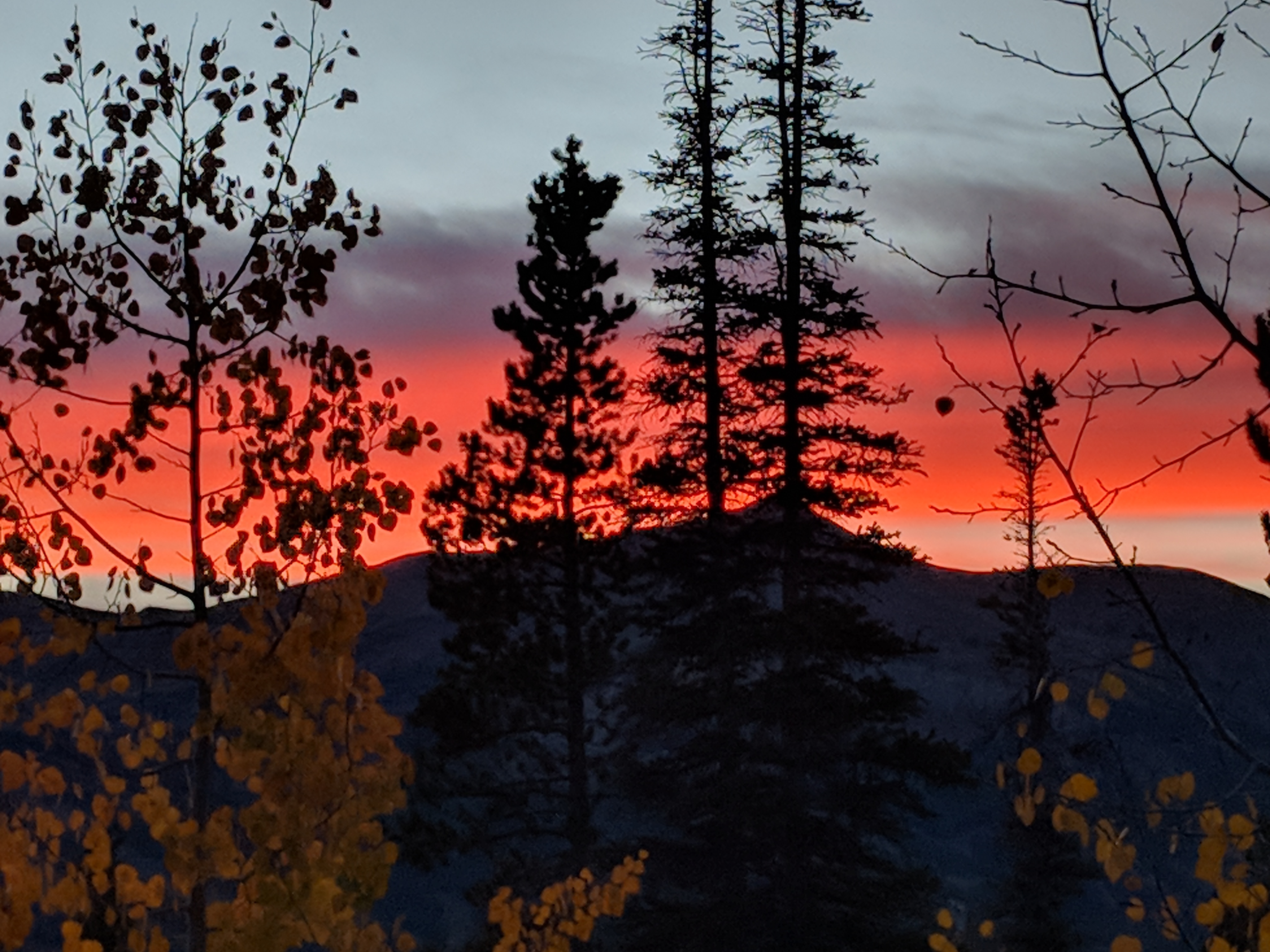 Loading Resort Image...