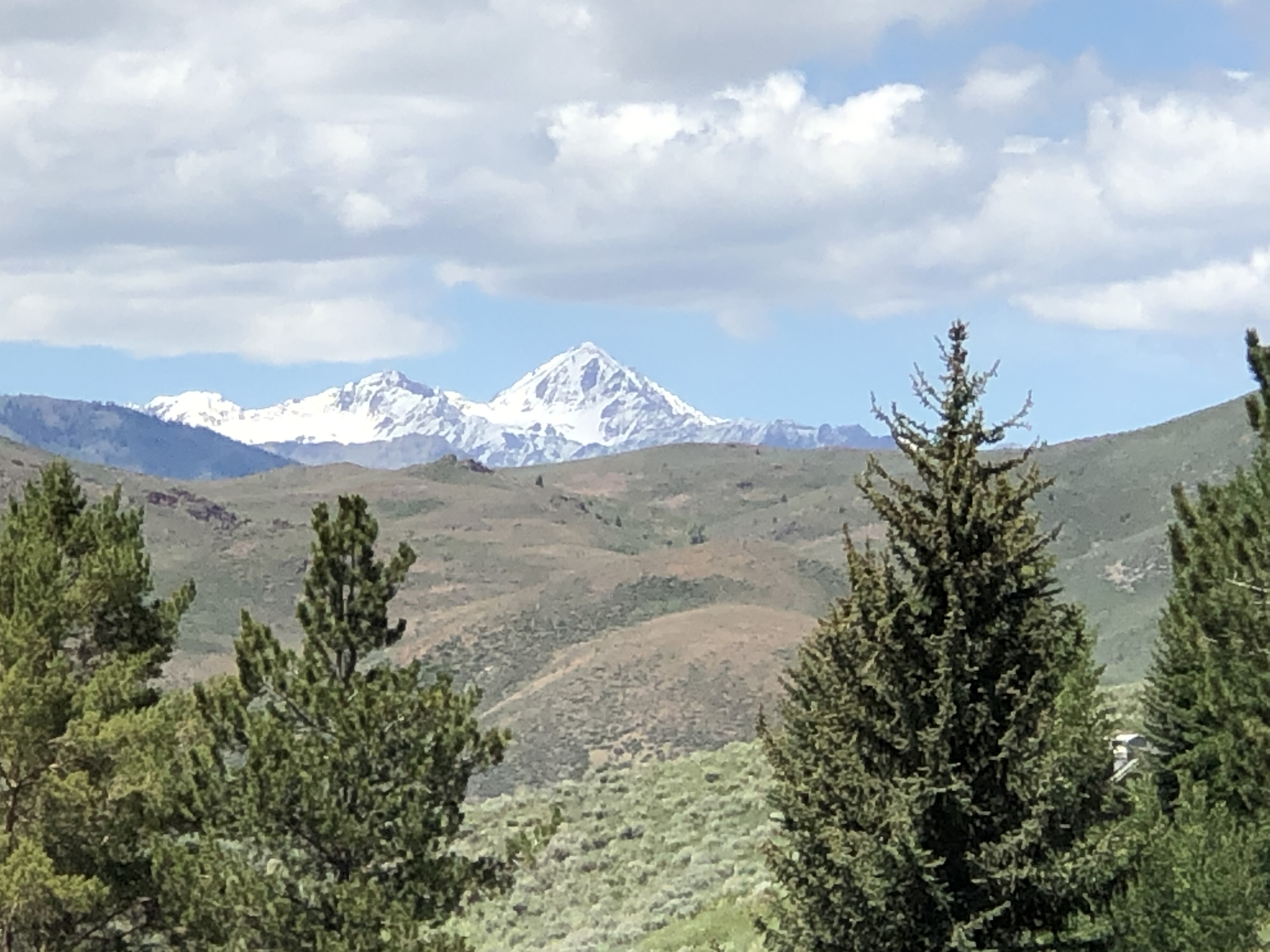 Loading Resort Image...