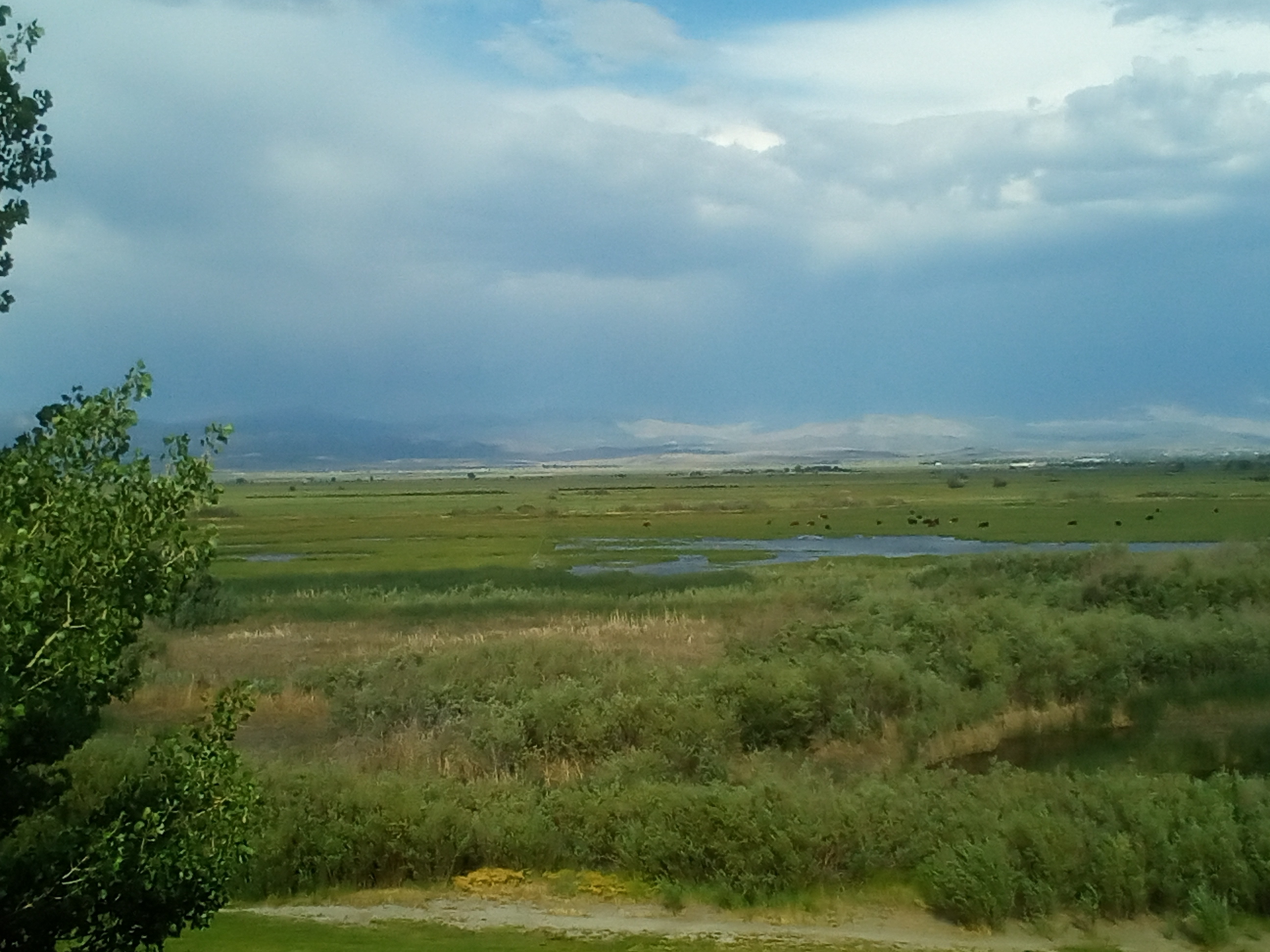 Loading Resort Image...