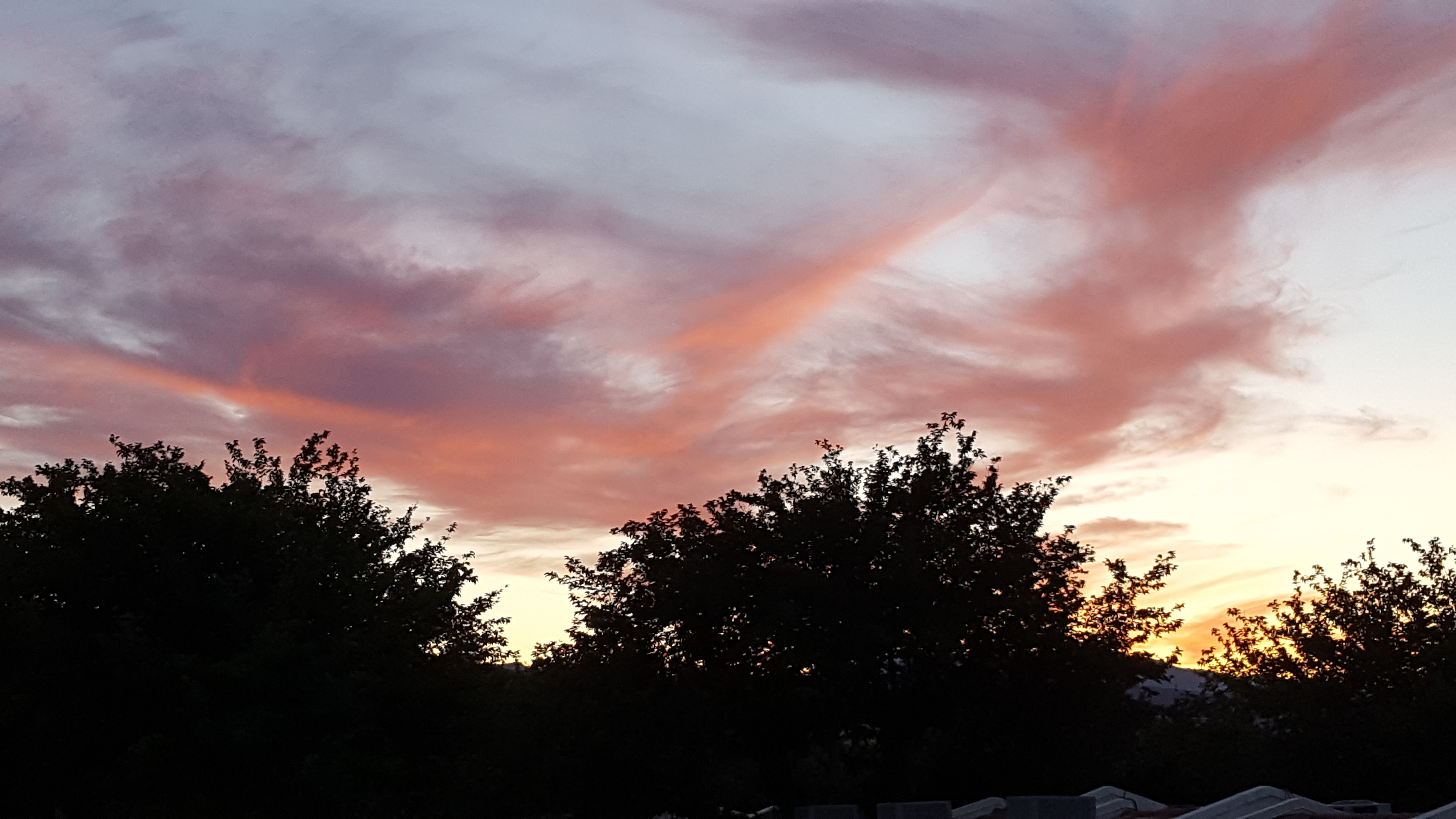 Loading Resort Image...